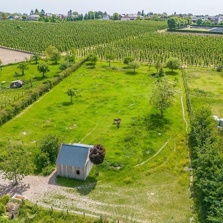 Unique Hideaway, Holiday House With Large Garden Kortenaken Exterior foto