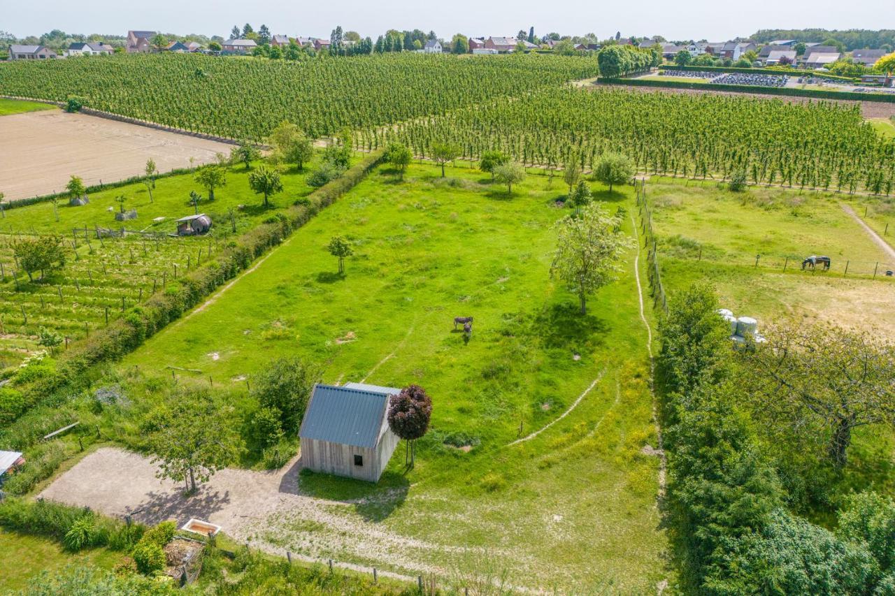 Unique Hideaway, Holiday House With Large Garden Kortenaken Exterior foto